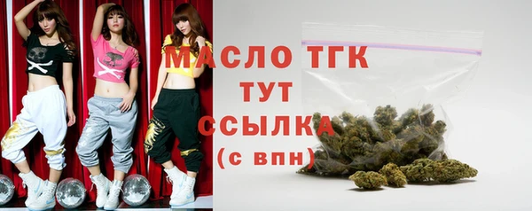 гидра Гусиноозёрск