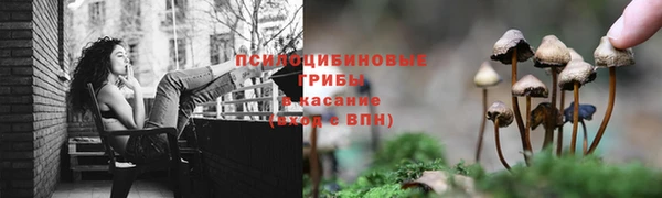 COCAINE Гусев