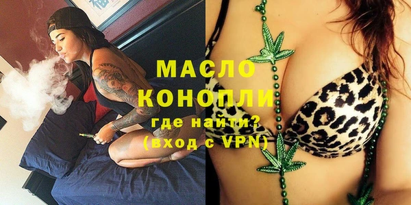 гидра Гусиноозёрск