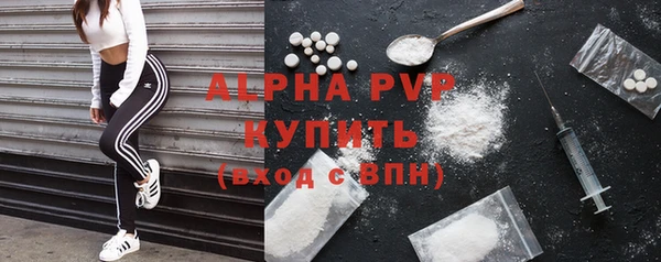 гидра Гусиноозёрск