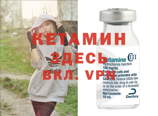гидра Гусиноозёрск