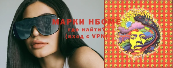 гидра Гусиноозёрск